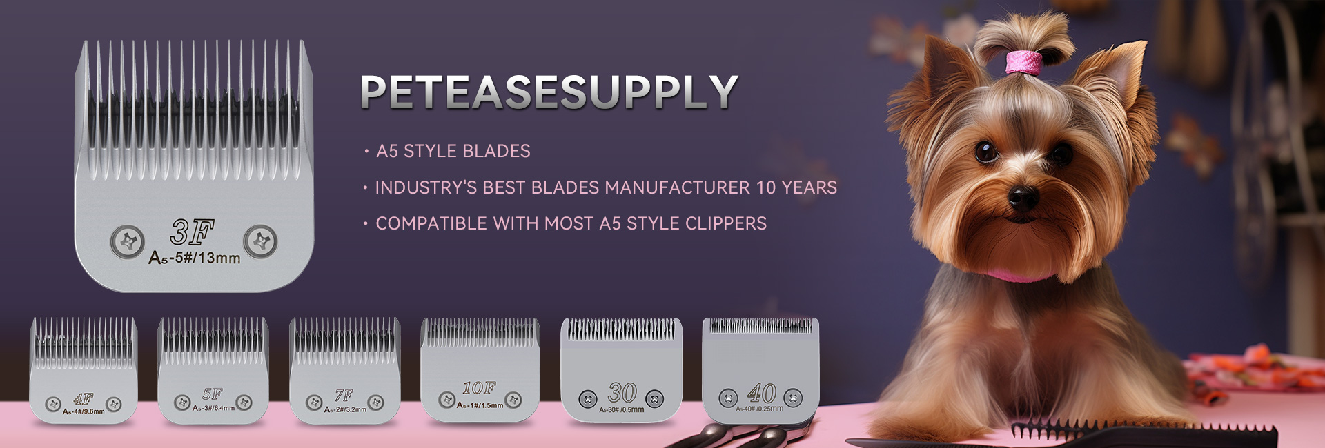 Leading Consumer Products Showcase